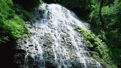 精密高性能